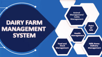 Dairy Farm Management System software Services