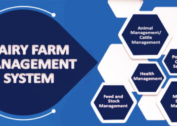 Dairy Farm Management System software Services