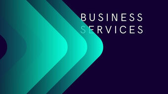 ProfessionalBusiness Services