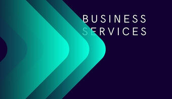 ProfessionalBusiness Services